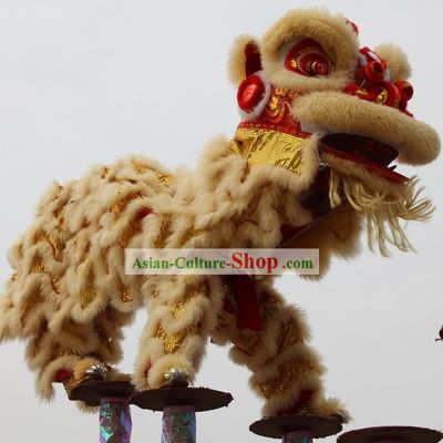 Professional Competition and Celebration Lion Dance Costume Complete Set