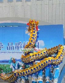 Blue Handmade Net Dragon Dance Costume Complete Set