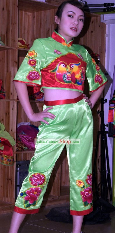 Traditional Chinese Mandarin Ducks Han Minority Dance Costume for Women