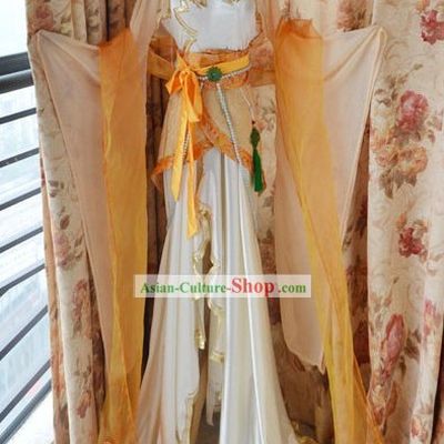 Chinese Classic Dance Costume