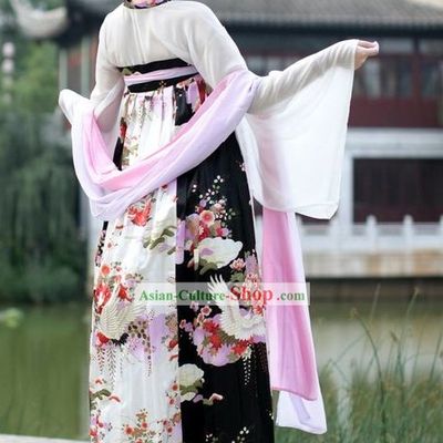 Ancient Chinese Crane Beauty Costume