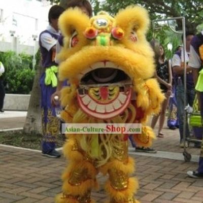 One Child Lion Dance Costume
