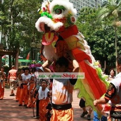 One Kid FUT SAN Lion Dance Costumes