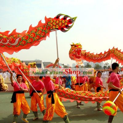 Competition and Performance Luminous Dragon Dance Costumes Complete Set