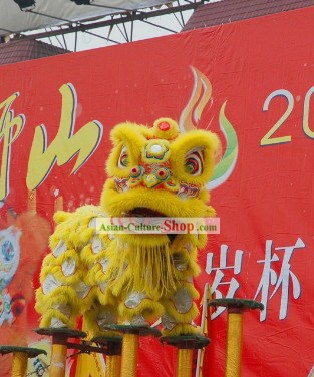 Competition and Festival Celebration Lion Dance Suit Complete Set