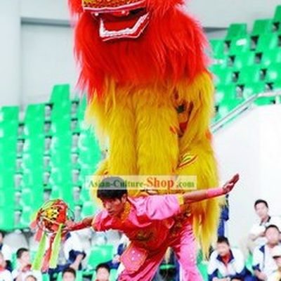 Classic Northern Lion Dance Costume Complete Set