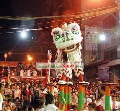 Competition and Parade Lion Dance Costume Complete Set