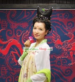 Ancient Chinese Tang Dynasty Imperial Palace Lady Clothing