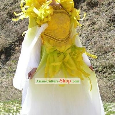 Chinese Ancient Flower Fairy Costumes Complete Set