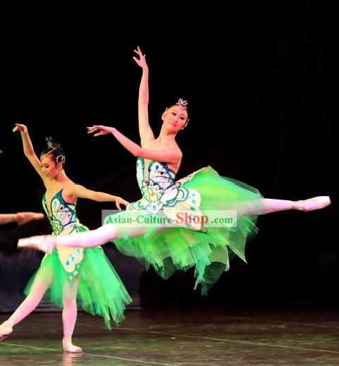 Chinese Butterfly Ballet Dance Costume Set for Women