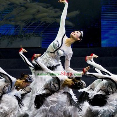 Chinese Swan Dance Costume Complete Set for Women