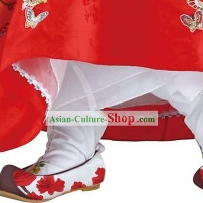 Korean Embroidery Shoes for Girls