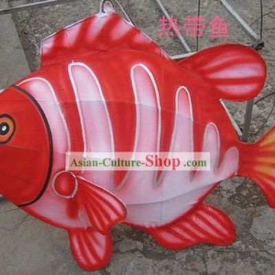 Chinese Hand Made Fish Lantern