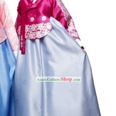Ancient Korean Hanbok Costumes Set for Women