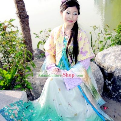 Hand Painted Tang Dynasty Hanfu Ruqun Historical Dress