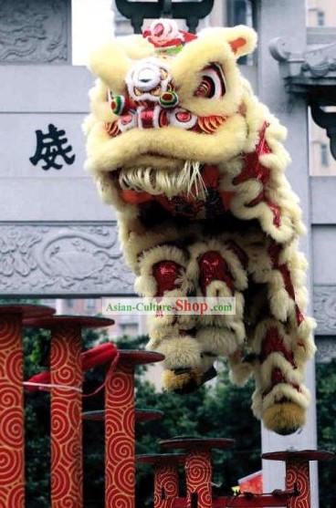 Guide DVD of Playing Lion Dance