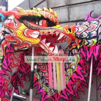 Competition and Parade Professional Performance Business Opening Dragon Dance Costumes Complete Set