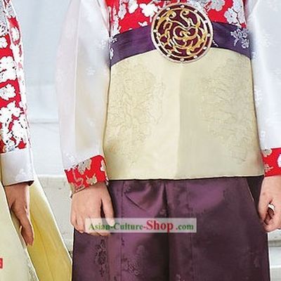 Traditional Korean Children Hanbok Dress for Boys
