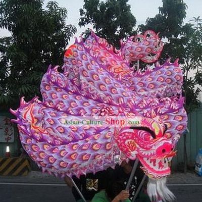 Glowing in Dark Luminous Peacock Pattern Dragon Dance Costumes Complete Set
