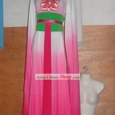 Chinese Water Sleeve Shui Xiu Dance Costumes