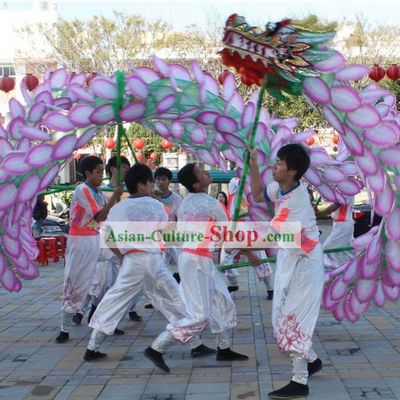 Traditional Chinese Lotus Dragon Dance Costumes Complete Set