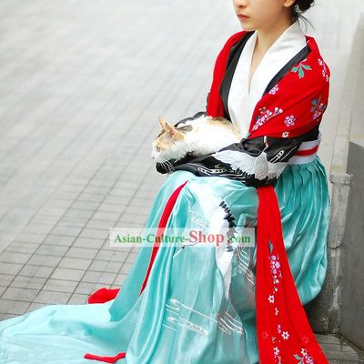 Chinese Tang Princess Embroidered Crane Clothing Complete Set