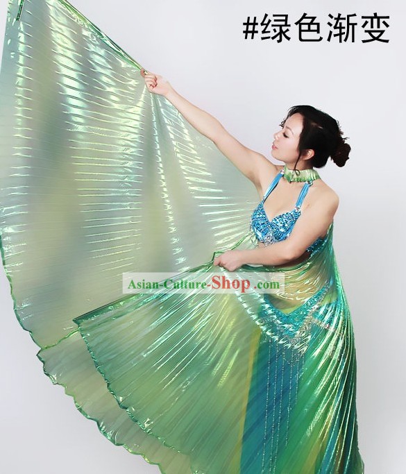 Big Color Transition Dance Wings
