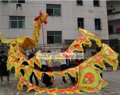 Traditional Phoenix Dancing Costumes Complete Set