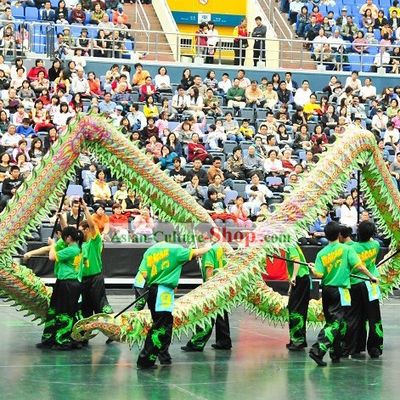 Illuminated Dragon Dance Equipment Costumes Complete Set