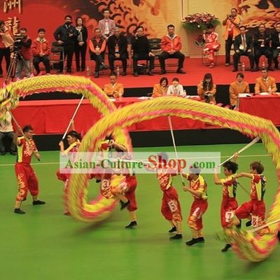 Competition and Parade Glowing In Dark Dragon Dancing Costume Complete Set