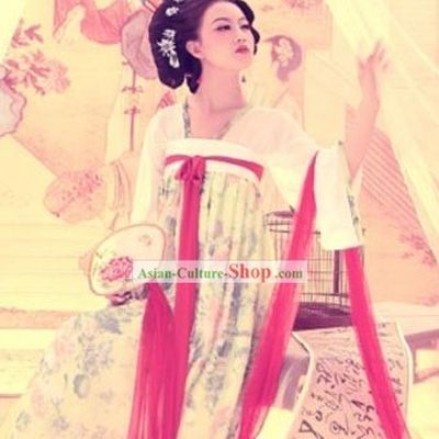 Traditional Chinese Tang Beautiful Women Costumes Complete Set