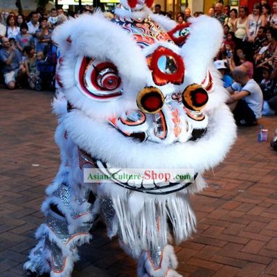 Competition and Parade Lion Head and Body Dance Costumes Complete Set