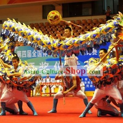 Lightweight Net Dragon Costumes Complete Set