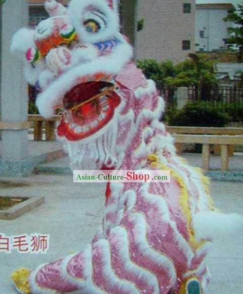 Traditional Lion Dancing Costume