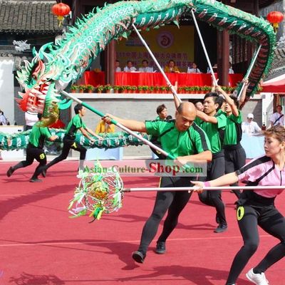 Professional Luminous Dragon Dancing Costume Complete Set