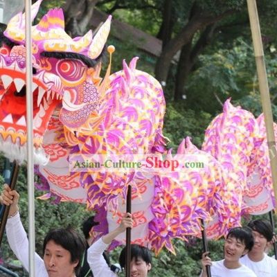Luminous Dragon Dance Costumes Complete Set for 30 People