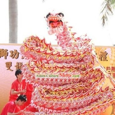 Glowing in Dark Dragon Dance Equipment for Adult