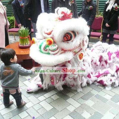 Top Handmade China Lion Dance Costume Complete Set