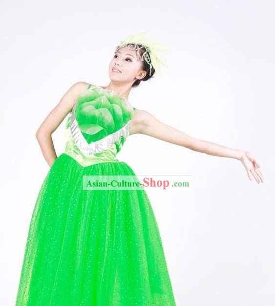 Chinese Green Leaf Dance Costumes for Women
