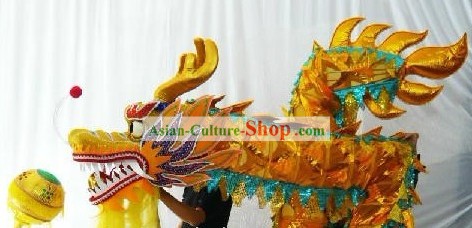 Golden Net Dragon Dance Head and Costumes with Blue Border