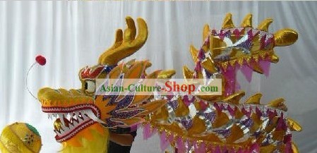 Silver Net Dragon Dance Head and Costumes with Pink Border