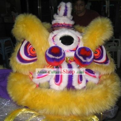 Teenager Size Luminous Lion Dance Costumes Complete Set