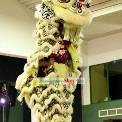 Supreme HOK SAN Competition Lion Dance Costume Complete Set