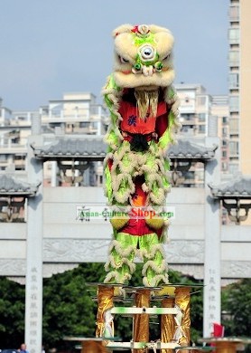 Professional Competition Lion Dance Costume Complete Set