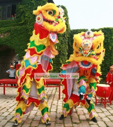 Traditional Festival Celebration Lion Dance Costume Complete Set