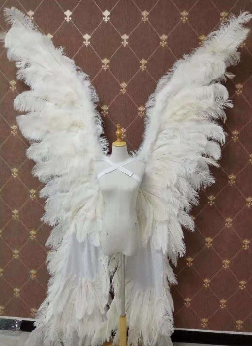 Victoria's Secret Big Angel Butterfly Wings Props