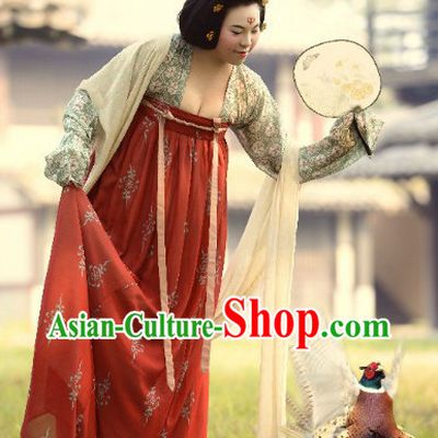 Ancient Chinese Tang Dynasty Lady Clothing Complete Set for Women