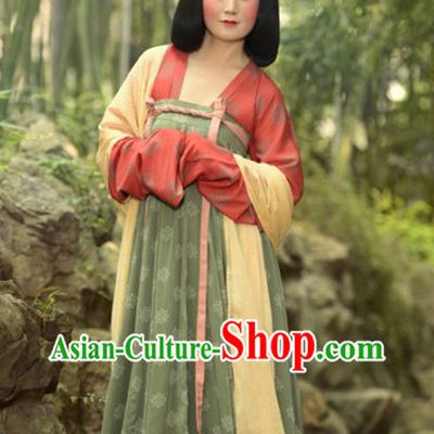 Ancient Chinese Tang Dynasty Lady Clothing Complete Set for Women