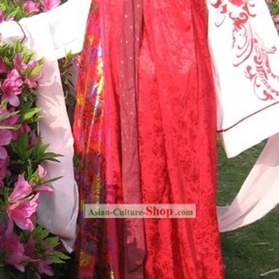 Ancient Chinese Tang Dynasty Palace Lady Costumes