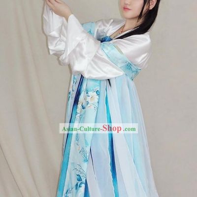 Ancient Chinese Tang Dynasty Fairy Costume